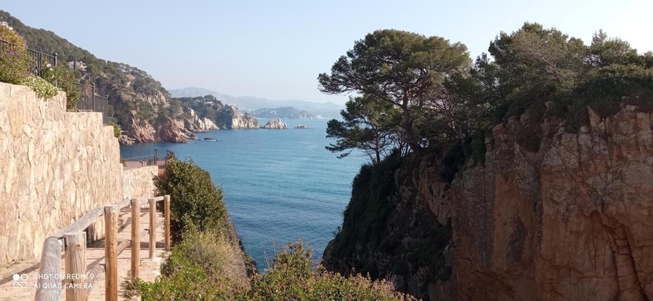 Villa Blanca 10 Minutos De La Playa Costa Brava Massanet De La Selva Buitenkant foto