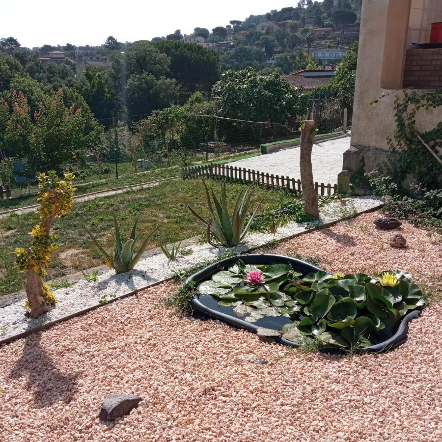 Villa Blanca 10 Minutos De La Playa Costa Brava Massanet De La Selva Buitenkant foto